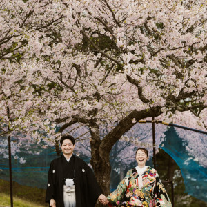 ベルルクス・プチ(旧ベル・ルクス)の写真(56559369)