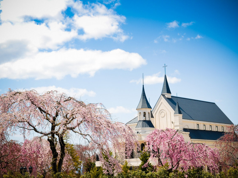 敷地内で緑に囲まれる写真も撮影可能・ロケーション撮影もOK！