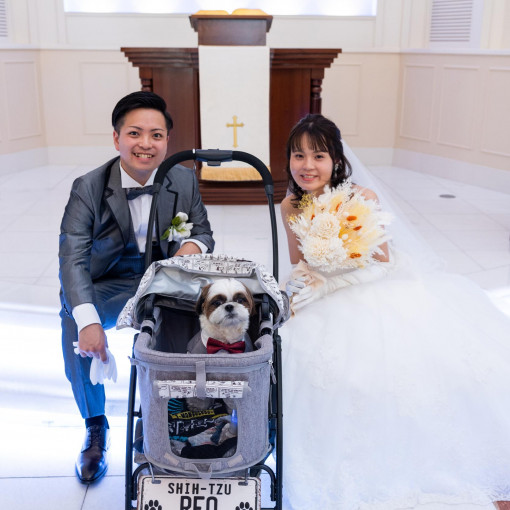 ベルルクス・プチ（旧ベル・ルクス)