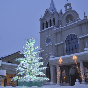 クリスマスシーズンには、大きなクリスマスツリーがセンターコートを彩ります。当式場注目の前撮りスポットです。|ブルーミントンヒルの写真(286921)