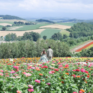 ブルーミントンヒルの写真(54979998)