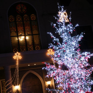 キャンドルの温かな火が灯るチャペルをバックに、美しいイルミネーションを輝かせるクリスマスツリー。|ブルーミントンヒルの写真(2384987)