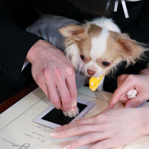 ペットとの結婚式、フォトウエディングも叶えられます。|ブルーミントンヒルの写真(56114190)