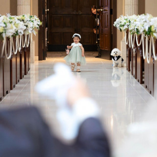 大切なペットも一緒に♪結婚式まるわかり相談会
