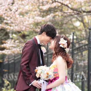 桜の時期限定でロマンチックなワンシーンも残せます。