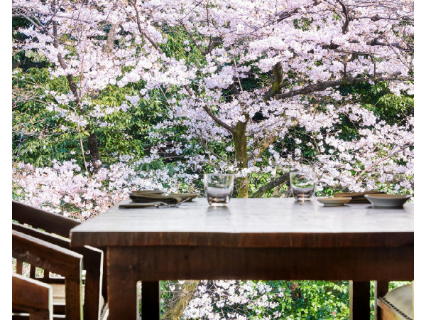 ハイアット リージェンシー 京都