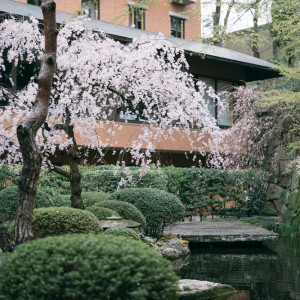 春には桜満開のウェディングシーンが叶います|ハイアット リージェンシー 京都の写真(40683478)