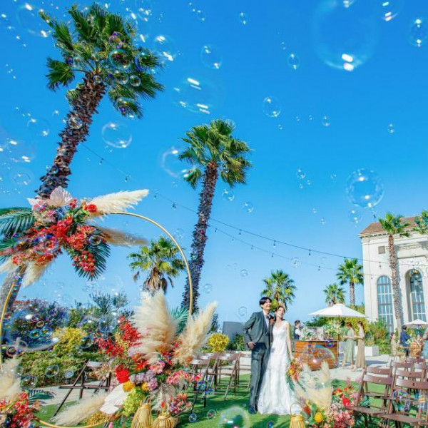 【通常価格:288万円 ➡ HP価格:203万円】