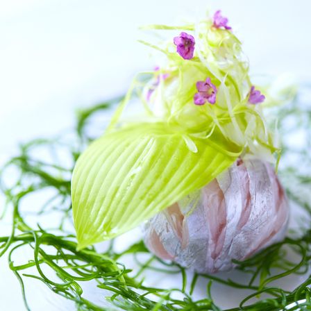目にした時の感動や食感をお愉しみください|アイネス ヴィラノッツェ オーシャンポートサイド（クラウディアホールディングスグループ）の写真(35219013)