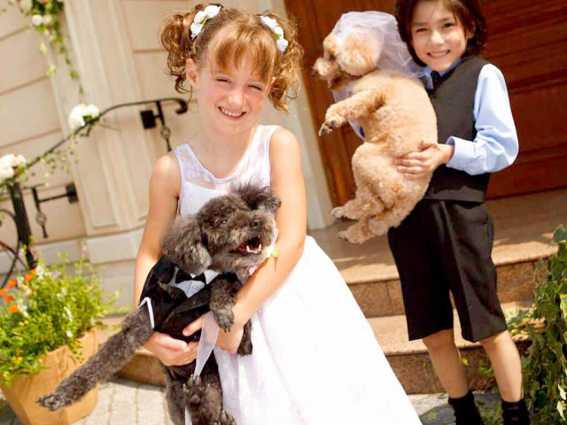 ☆★☆ペット婚も対応!大切な家族と一緒に思い出に残る一日を☆★☆