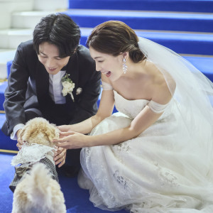 【ペット婚】大切な家族と一緒に過ごせる|アニヴェルセル白壁の写真(51951338)
