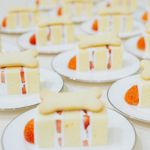 ペットをテーマにしたオリジナルのケーキもパティシエがご提案＊ふたりの希望をぜひお聞かせください＊