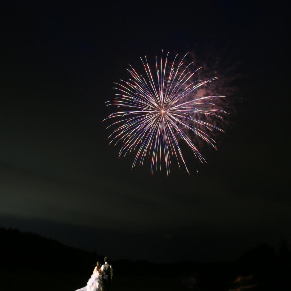 イメージフォト