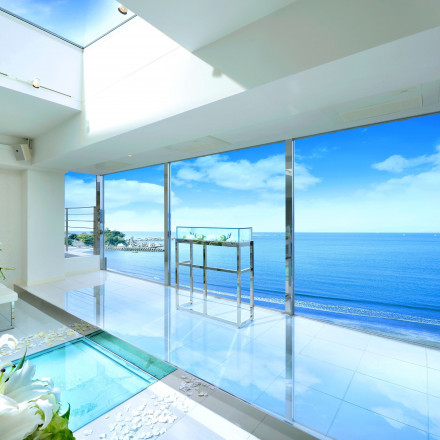 SCAPES THE SUITE