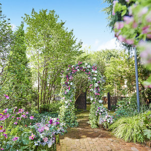 緑と花に囲まれたガーデンでアットホームな一日を過ごそう|モアフィール宇都宮プライベートガーデンの写真(15229064)