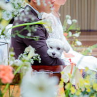 ウエディングレストラン ジュレ