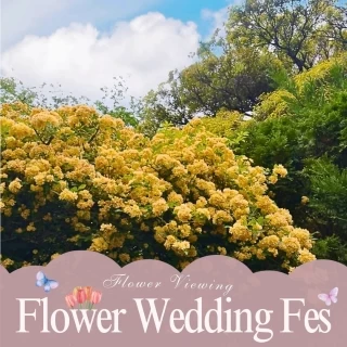 【GW限定◎年イチBIG】135万円特典*RoseGardenフェア
