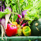 【野菜】無農薬で栽培された新鮮野菜は地元の契約農家と幅広く取り入れています。食の『安心』『安全』は勿論、食文化の継承する上で本物の素材を使用する事をこだわりとしています。