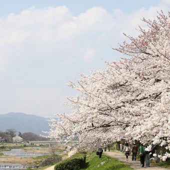 季節によって景色の移ろいが。日本を感じる景色はゲストを楽しませる