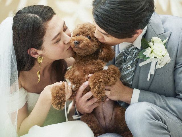 リングドック＆リングキャット体験♪♪