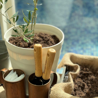 【植樹セレモニー】