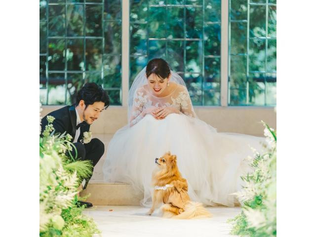 大切な愛犬と一緒に叶えるペットウェディングも♪