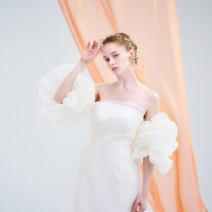 洗練されたインポートブランドが揃うドレスショップ【Mirror Mirror】|ニーズ青山 by T&G WEDDING (旧 青山迎賓館)の写真(50995525)