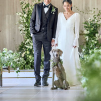 ニーズ青山 by T&G WEDDING (旧 青山迎賓館)