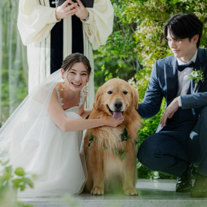 【わんダフル婚】<愛犬も同伴見学OK>リングドッグ体験＆会場案内