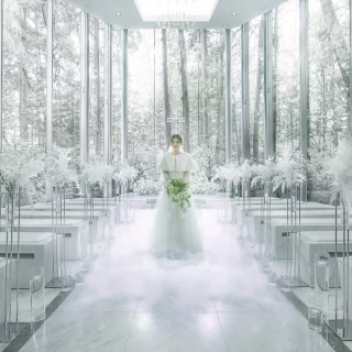 冬の森の静寂に包まれ、清らかな光の中で撮る一枚