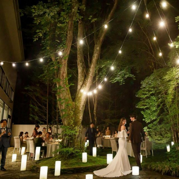 静寂の軽井沢の森で幻想的なひとときを