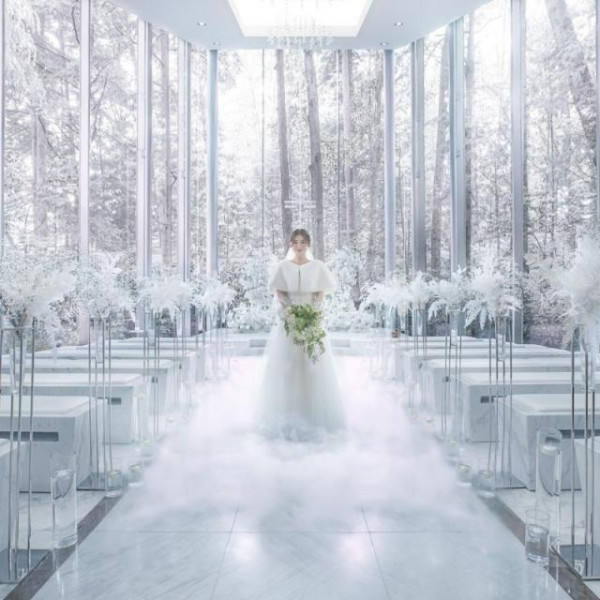 樹齢150年の森が一面の銀世界に