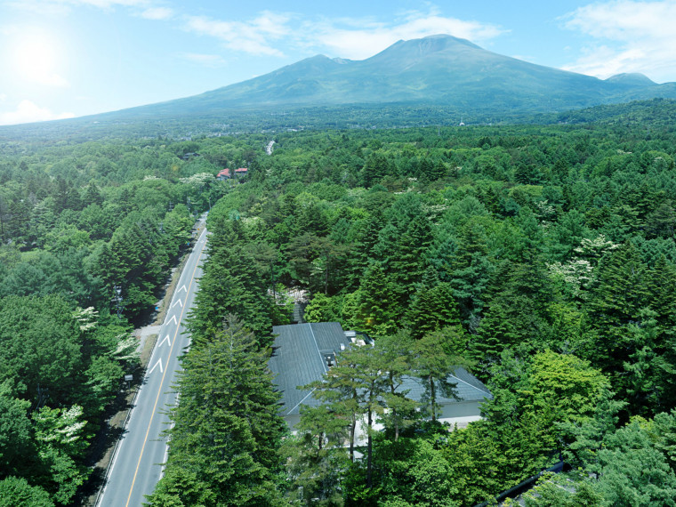 樹齢150年の森に佇むゲストハウス