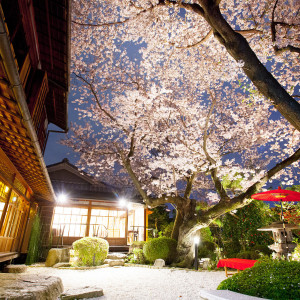 桜の時期は挙式も前撮りも人気です|神戸北野ハンター迎賓館の写真(14560272)