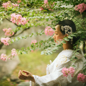 【フォトウエディングにも人気のスポット】日本庭園の凛とした美しさ|大阪天満宮の写真(36617395)