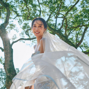 満席御礼!!【2025年最終BIG!!】金賞受賞シェフデザート試食付♪