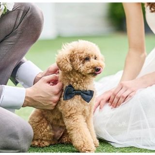 【ペット婚フェア】◆館内どこでもペットと一緒に過ごす結婚式◆