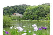 三渓園 鶴翔閣（横浜市指定有形文化財）