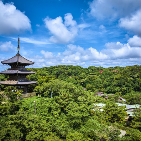 敷地内に五重塔も