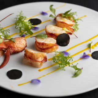 《料理重視必見》至極フレンチでおもてなし！4万コース試食