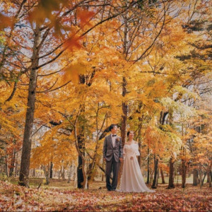 残1*100万坪の広大なリゾートを体感&無料試食スペシャルフェア