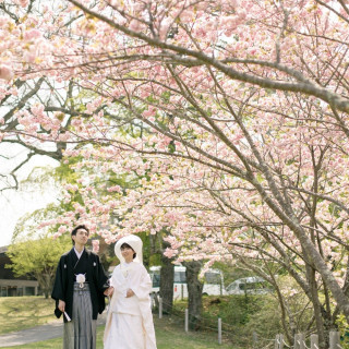 4・5月は桜とともに挙式ができ、日本の和婚ならではの魅力が詰まっている。