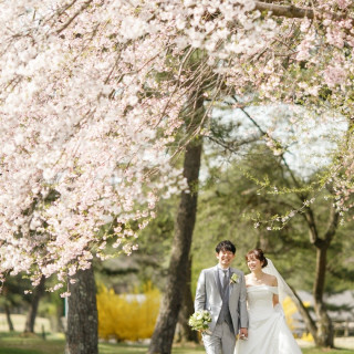 桜の季節のロケーション