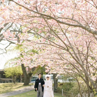 桜の季節のロケーション