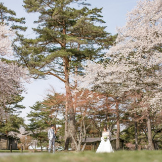 桜の季節のロケーション