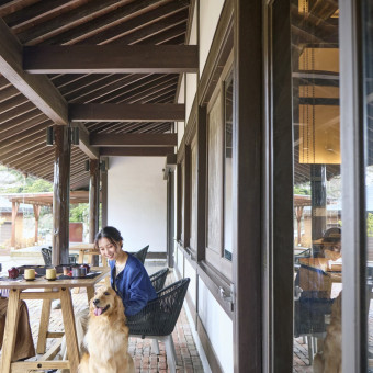 ドッグコテージに宿泊したら、翌日の朝食はホテルのレストランで愛犬と一緒に食事を。