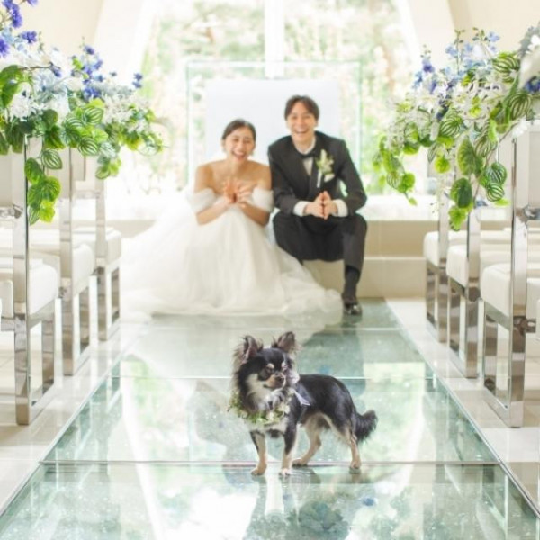 大切な愛犬と過ごす特別な時間