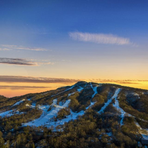 広大な敷地で残す特別なお写真