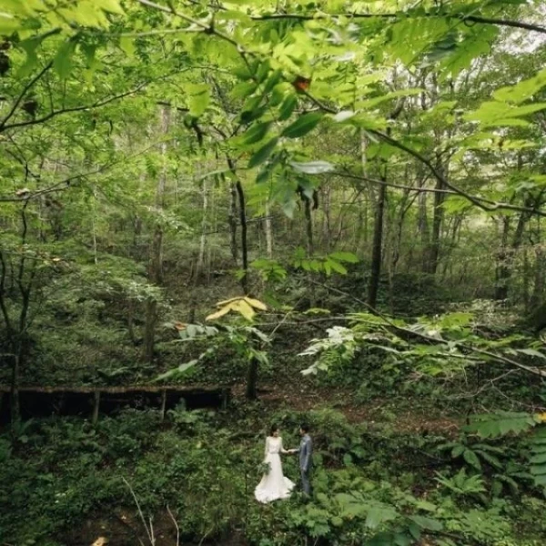 リゾート地軽井沢ならではの広大なお写真