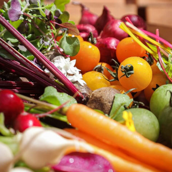 旬の食材を堪能してもらうため毎月メニューを一新